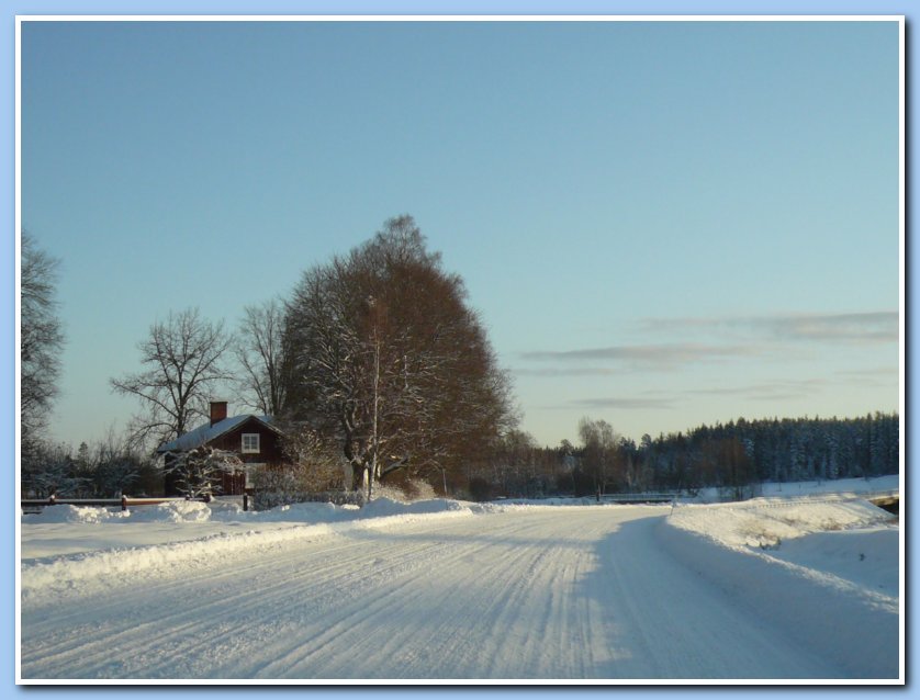 P1190020